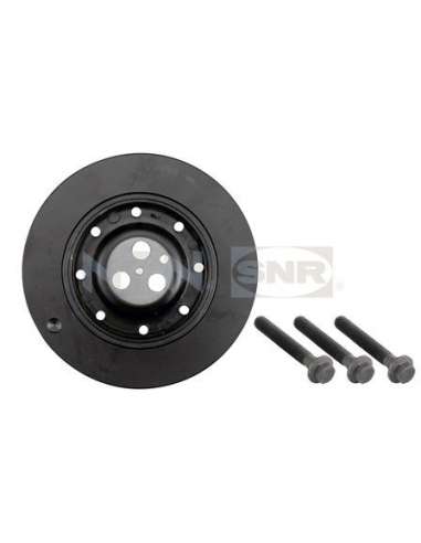 Polea, cigüeñal Snr DPF352.00K1 - DPF352.00K1 Kits dampers