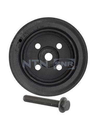 Polea, cigüeñal Snr DPF352.01K1 - DPF352.01K1 Kits dampers