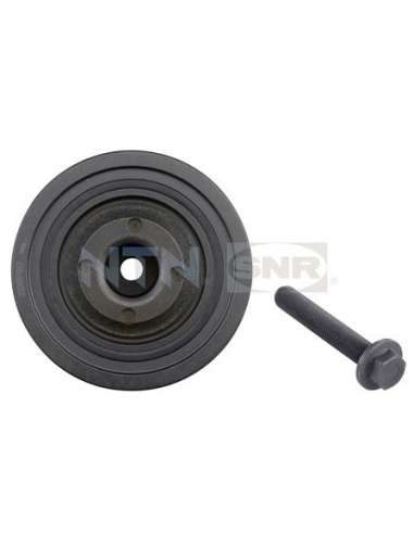 Polea, cigüeñal Snr DPF352.03K1 - DPF352.03K1 Kits dampers