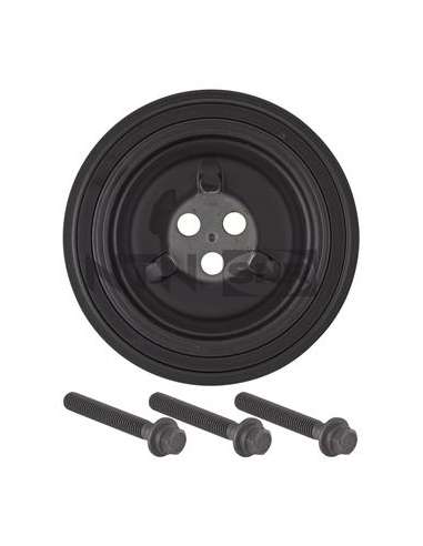 Polea, cigüeñal Snr DPF352.09K1 - DPF352.09K1 Kits dampers con tornil