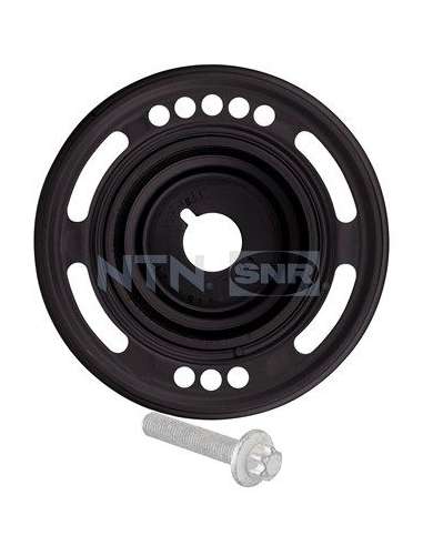 Polea, cigüeñal Snr DPF353.02K1 - DPF353.02K1 Kits dampers