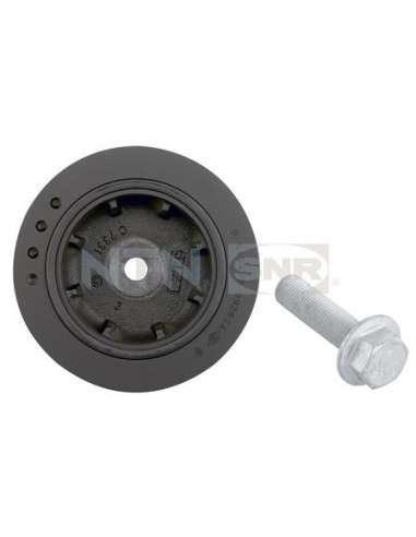 Polea, cigüeñal Snr DPF355.01K1 - DPF355.01K1 Kits dampers
