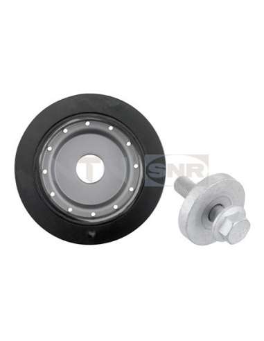 Polea, cigüeñal Snr DPF355.04K1 - DPF355.04K1 Kits dampers