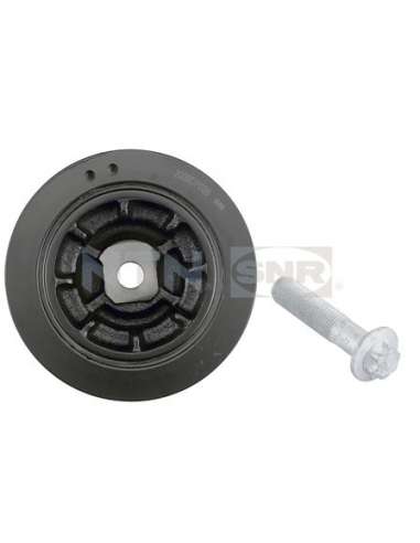 Polea, cigüeñal Snr DPF355.12K1 - DPF355.12K1 Kits dampers