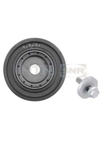 Polea, cigüeñal Snr DPF355.15K1 - DPF355.15K1 Kits dampers