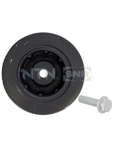 Polea, cigüeñal Snr DPF355.17K1 - DPF355.17K1 Kits dampers