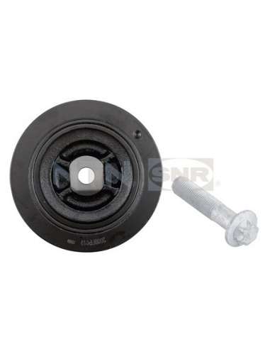 Polea, cigüeñal Snr DPF355.20K1 - DPF355.20K1 Kits dampers