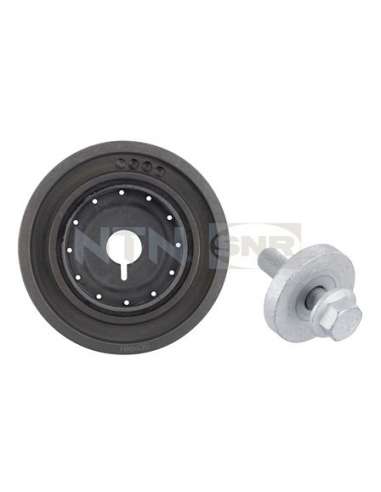 Polea, cigüeñal Snr DPF355.21K1 - DPF355.21K1 Kits dampers