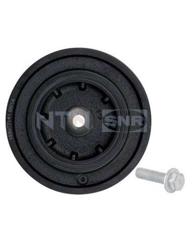 Polea, cigüeñal Snr DPF355.22K1 - DPF355.22K1 Kits dampers