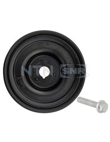Polea, cigüeñal Snr DPF355.25K1 - DPF355.25K1 Kits dampers