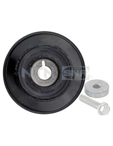 Polea, cigüeñal Snr DPF355.26K1 - DPF355.26K1 Kits dampers