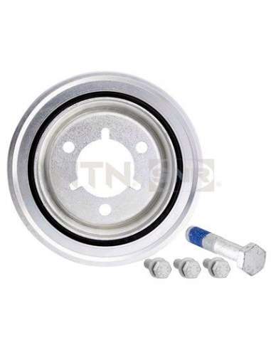 Polea, cigüeñal Snr DPF359.01K1 - DPF359.01K1 Kits dampers