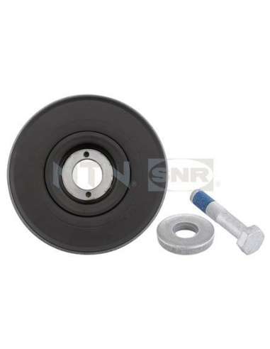 Polea, cigüeñal Snr DPF359.03K1 - DPF359.03K1 Kits dampers