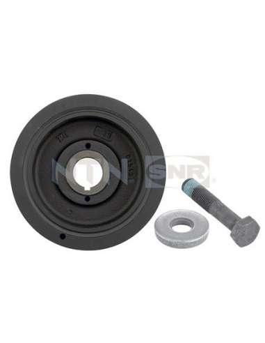 Polea, cigüeñal Snr DPF359.04K1 - DPF359.04K1 Kits dampers