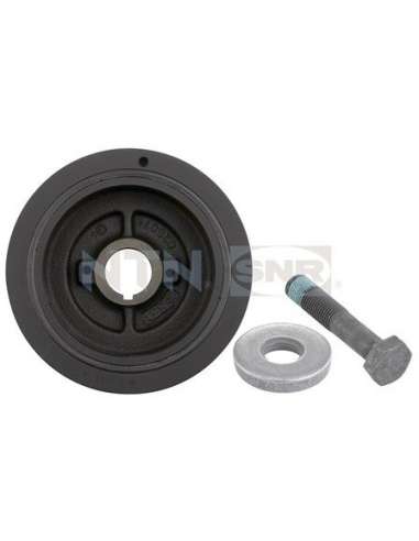 Polea, cigüeñal Snr DPF359.07K1 - DPF359.07K1 Kits dampers