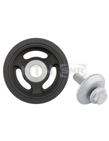 Polea, cigüeñal Snr DPF359.09K1 - DPF359.09K1 Kits dampers
