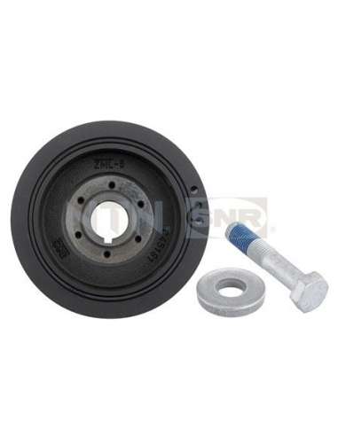 Polea, cigüeñal Snr DPF359.10K1 - DPF359.10K1 Kits dampers