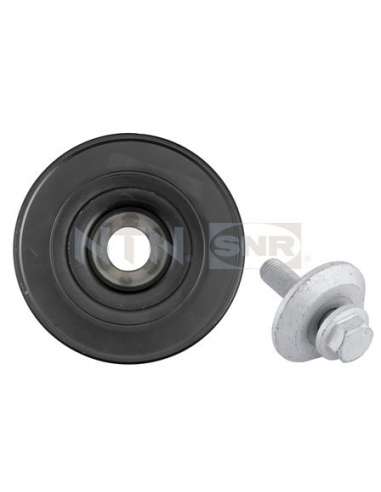 Polea, cigüeñal Snr DPF359.16K1 - DPF359.16K1 Kits dampers