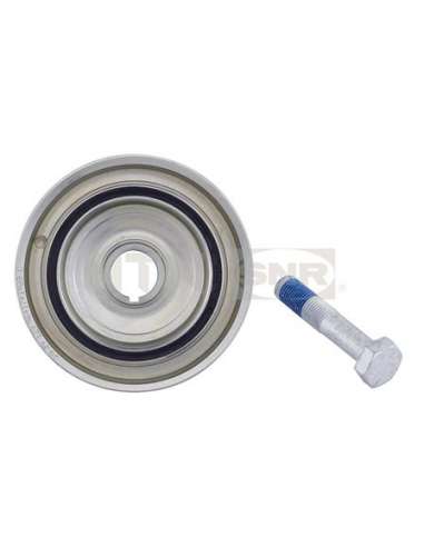 Polea, cigüeñal Snr DPF359.22K1 - DPF359.22K1 Kits dampers