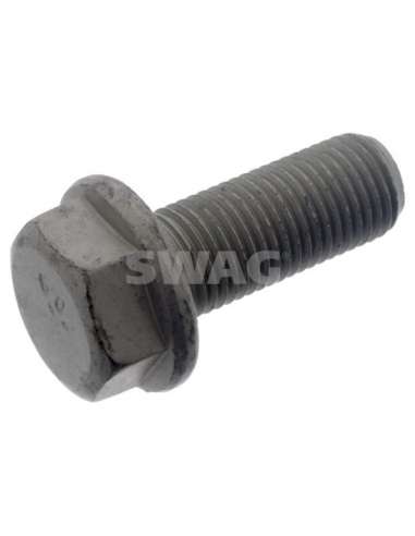 Tornillo, pinza de freno Del. Swag 30 94 8810 - SWAG TORNILLO SOPORTE FREN