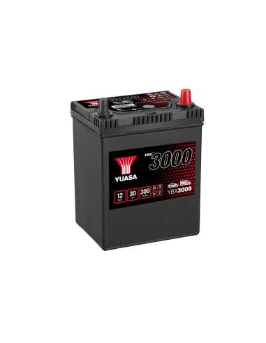 Batería Yuasa YBX3009 - 12V 30Ah EN 300A