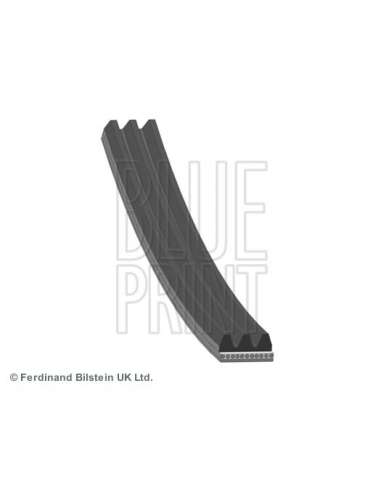 Correa trapecial poli V Blue Print AD03S842 - Correa Auxiliar 96