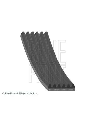 Correa trapecial poli V Blue Print AD06R938 - 96 Correa Auxiliar