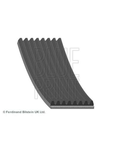 Correa trapecial poli V Blue Print AD08R1173 - 96 Correa Auxiliar