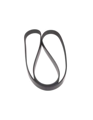 Correa trapecial poli V Blue Print ADG09624 - IDA  ADG09624 Correa de Alternado r (96)