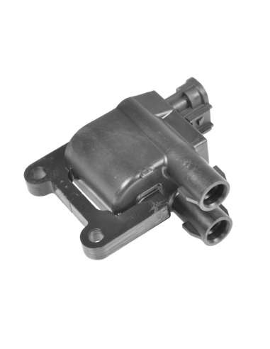 Bobina de encendido Blue Print ADT314120 - 14 Bobina de Encendido