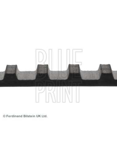 Correa dentada Blue Print ADN17505 - BP 75 Correa distribucio