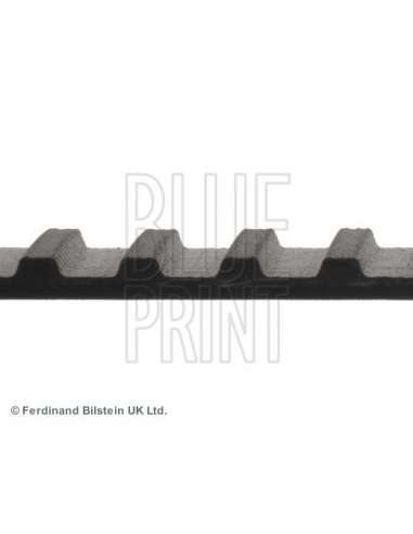 Correa dentada Blue Print ADN17506 - BP 75 Correa distribucio