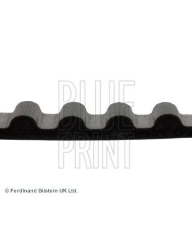 Correa dentada Blue Print ADN17510 - BP 75 Correa distribucio