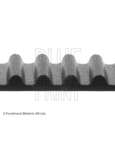 Correa dentada Blue Print ADN17516 - BP 75 Correa distribucio