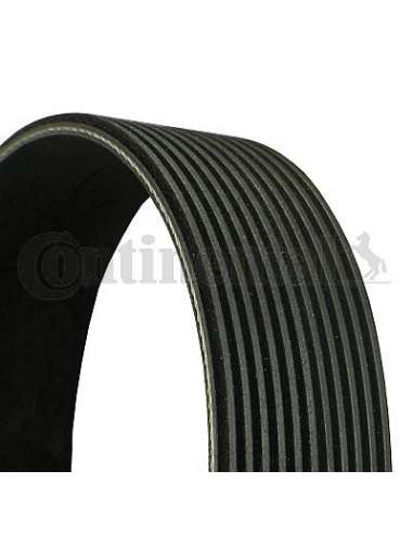 CONTI ACANALADA Contitech 11PK1890