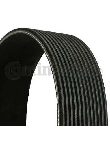 CONTI ACANALADA Contitech 12PK1815