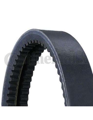 CONTI TRAPECIAL Contitech 2/AVX10X1150