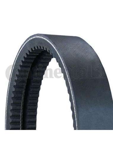2/AVX13x1950 CONTI-Multibelt Contitech 2/AVX13X1950