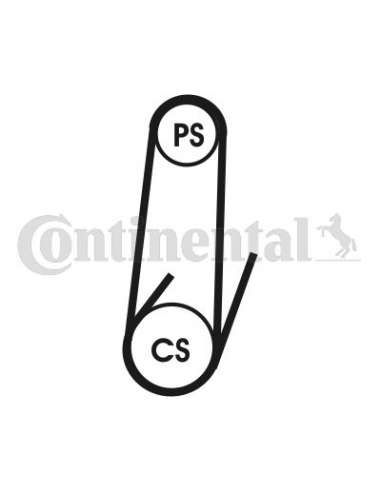 CONTI 4PK1022T1 MVB Contitech 4PK1022ELASTT1