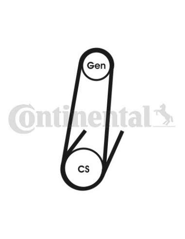 CONTI ACANALADA Contitech 4PK592ELAST
