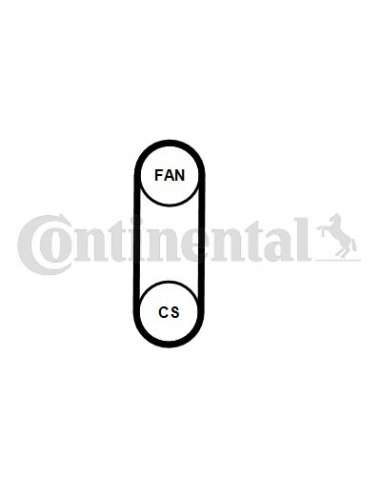 CONTI 4PK711T1 MVB Contitech 4PK711ELASTT1