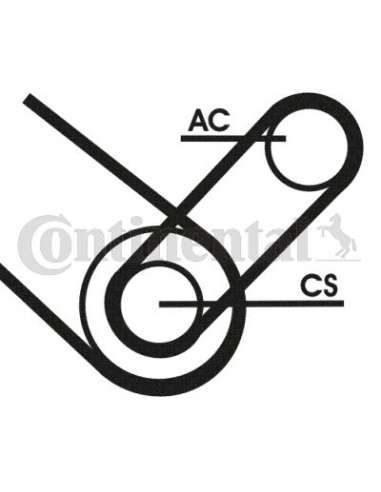 CONTI 4PK874T1 MVB Contitech 4PK874ELASTT1