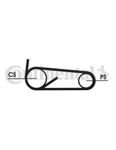 CONTI 4PK922T1 MVB Contitech 4PK922ELASTT1