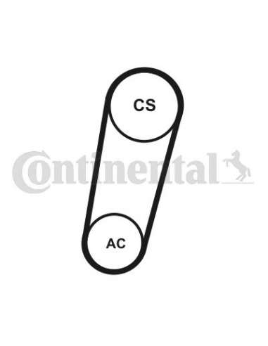 CONTI 5PK705T1 MVB Contitech 5PK705ELASTT1