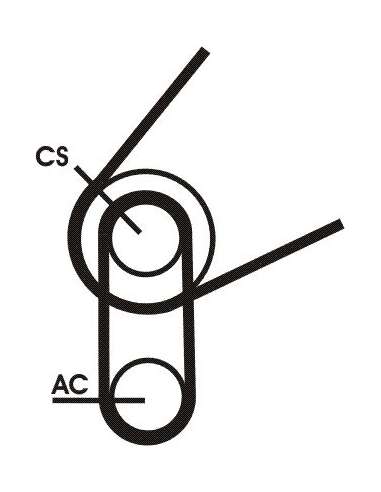 CONTI 5PK716T1 MVB Contitech 5PK716ELASTT1