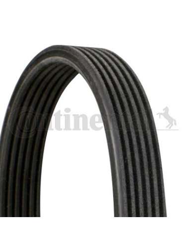 CONTI ACANALADA Contitech 6DPK1817