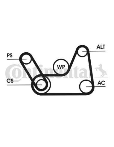 CONTI 6PK1019T1 MVB Contitech 6PK1019ELASTT1