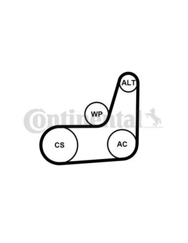 CONTI 6PK1019T2 MVB Contitech 6PK1019ELASTT2