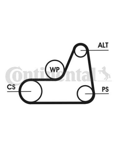 CONTI 6PK1042T1 MVB Contitech 6PK1042ELASTT1