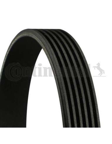 CONTI ACANALADA Contitech 6PK1194EXTRA